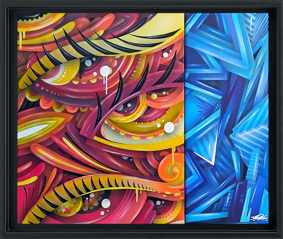 D.VISION.B 6